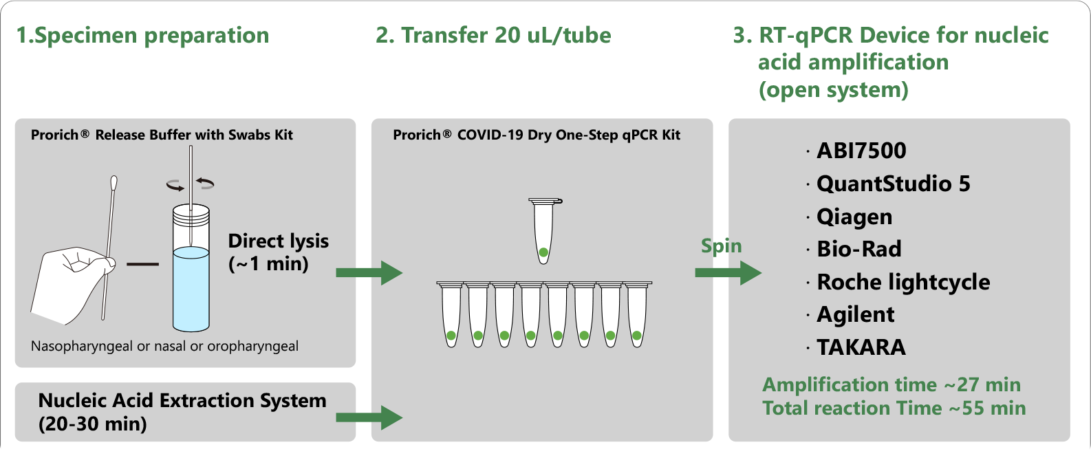 Prorich® COVID-19 Dry One-Step RT-qPCR Kit using step